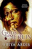 Gods Of Merlin My Merlin Series Book 4