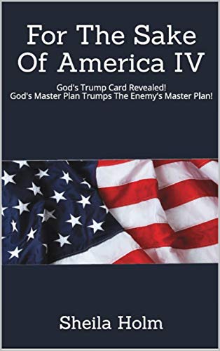 For The Sake Of America IV cover