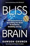 Bliss Brain The Neuroscience Of Remodeling Your Brain For Resilience Creativity And Joy