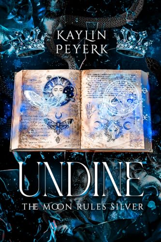 High Fae Academy: Year Two book cover