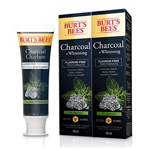 Burt’s Bees Charcoal Toothpaste