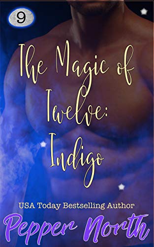 Indigo book cover