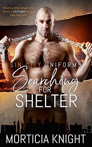 Searching for Shelter book cover