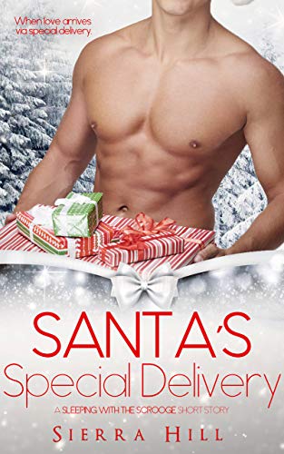 Santa's Special Delivery book cover