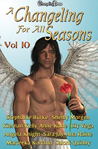 A Changeling For All Seasons 10 (By: Stephanie Burke) cover