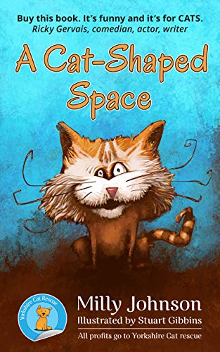 A Cat-Shaped Space cover