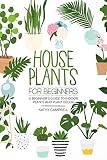 House Plants For Beginners A Beginners Guide To Indoor Plants And Plant Dcor