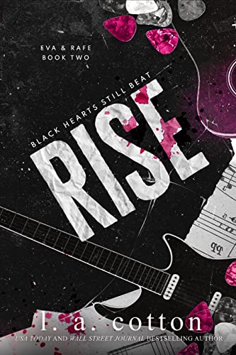Rise book cover