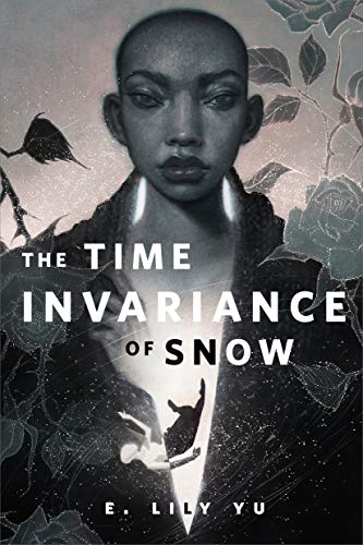 The Time Invariance of Snow book cover