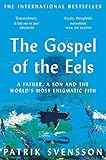 The Gospel Of The Eels A Father A Son And The Worlds Most Enigmatic Fish