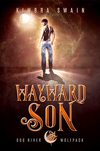 Wayward Son book cover