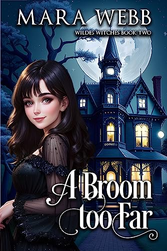 A Broom too Far book cover