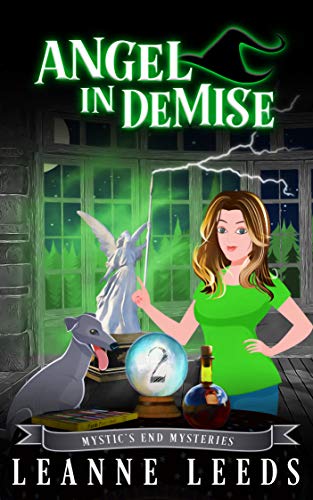 Angel in Demise book cover