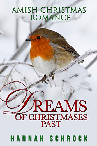 Dreams Of Christmases Past book cover