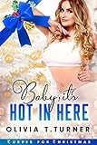 Baby Its Hot In Here Curves For Christmas Book 3 English Edition