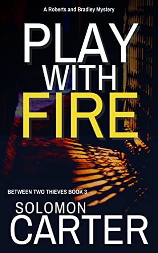 Play With Fire book cover