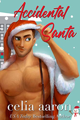 Accidental Santa cover