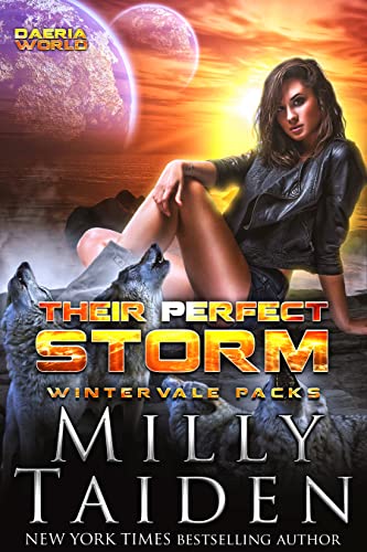 Their Perfect Storm book cover