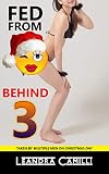 Fed from Behind: Taken by Multiple Men on Christmas Day