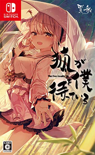 ゲーム会社・賈船(Cosen)で最高傑作のゲームを決める人気投票&ランキング 8位 狐が僕を待っているの画像