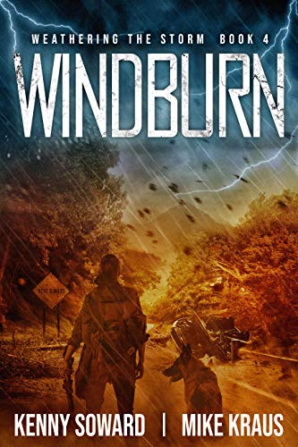 Windburn book cover