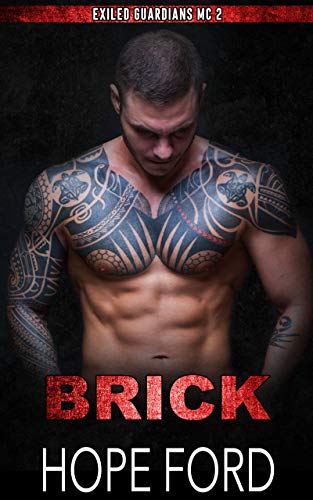 Brick book cover