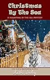 Christmas By The Sea Haunting By The Sea Book 6 English Edition