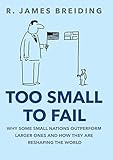 Too Small To Fail Why Small Nations Outperform Larger Ones And How They Are Reshaping The World English Edition