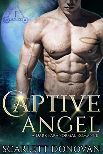 Captive Angel book cover