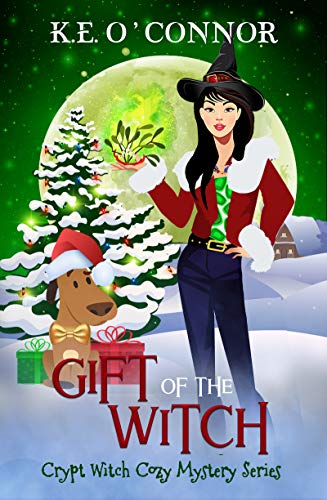 Gift of the Witch book cover