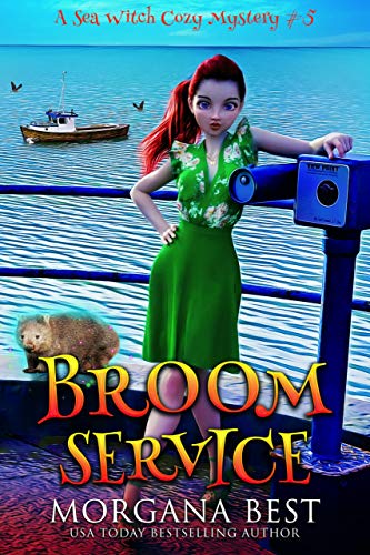 Broom Service cover