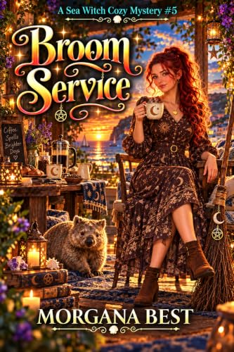 Broom Service book cover