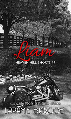 Liam book cover