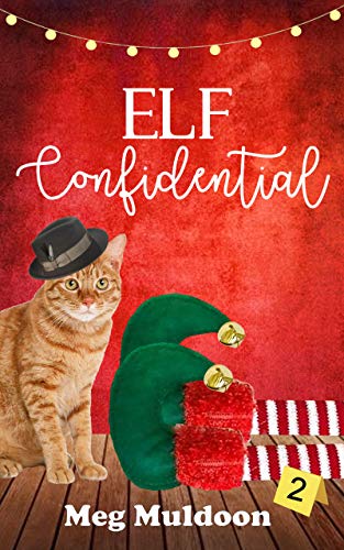 Elf Confidential book cover