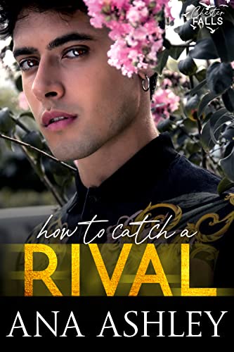 How to Catch a Rival book cover