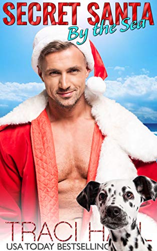 Secret Santa by the Sea cover