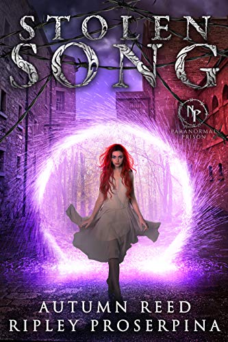 Stolen Song book cover