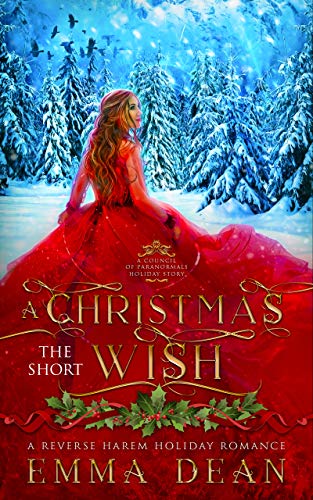 A Christmas Wish book cover