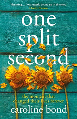 One Split Second book cover