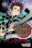Demon Slayer Kimetsu No Yaiba Vol 10 Human And Demon