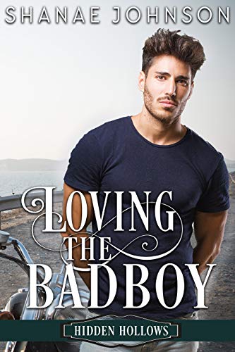 Loving the Bad Boy book cover
