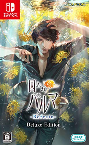カプコンで最高傑作のゲームを決める人気投票＆ランキング　24位　囚われのパルマ Refrainの画像