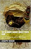 The Ultimate Hornet Insect Photo Book Looking Through The Eyes Of These Largest Eusocial Wasps English Edition