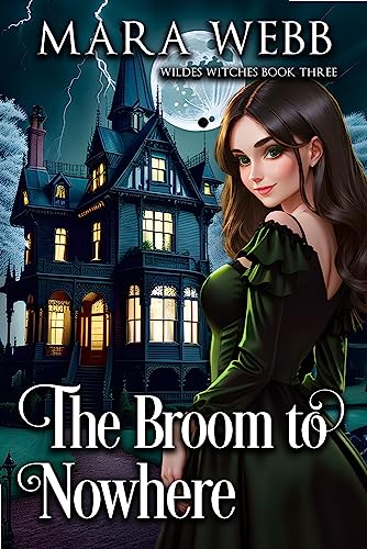 The Broom to Nowhere book cover