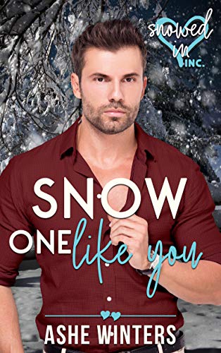 Snow One Like You (By: Ashe Winters) cover