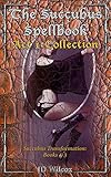 The Succubus Spellbook Act 1 Collection Succubus Transformation Books 13 English Edition