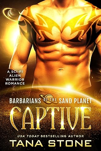 Captive book cover