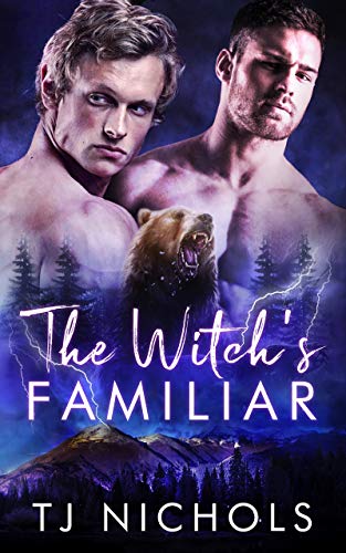 The Witch's Familiar book cover