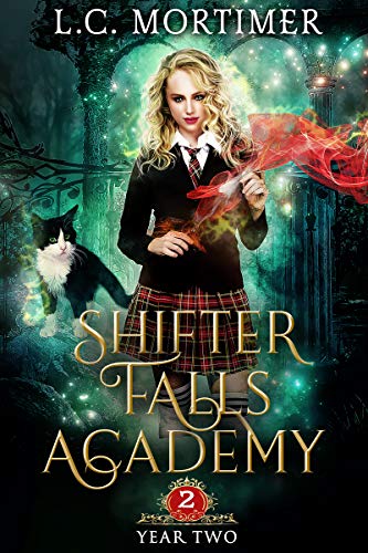 Year Two book cover
