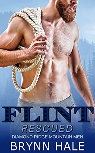 Flint book cover
